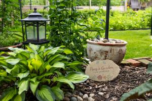 062526-owh-new-gardenwalk-jc-7.JPG