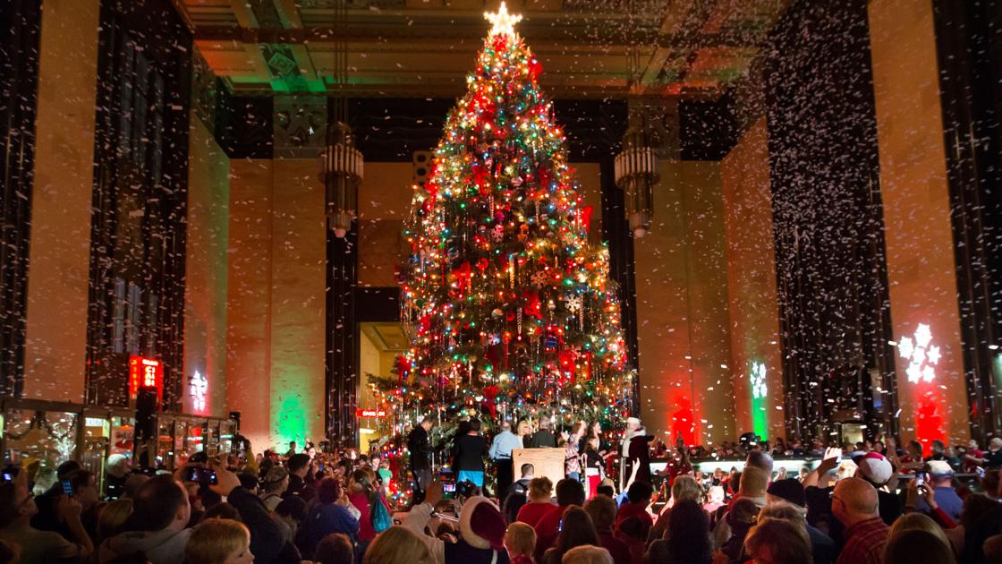 Paw Patrol Live Winter Art Craft Bazaar Plus 14 Other Things To