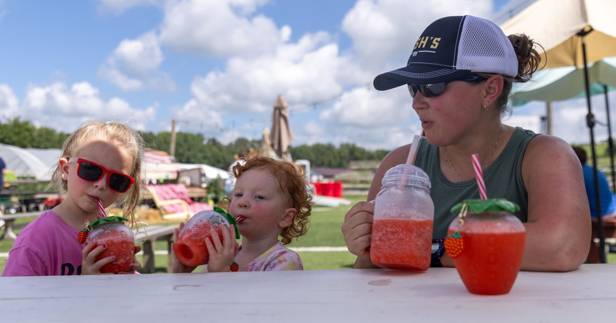 Besucher strömen zum jährlichen Wassermelonenfestival zur Nelson Produce ...