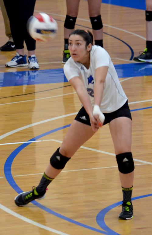 Ducey Not Satisfied Peru State Volleyball Team Is Aiming Even Higher College Omaha Com