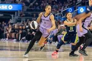 BASKETBALL-WNBA/