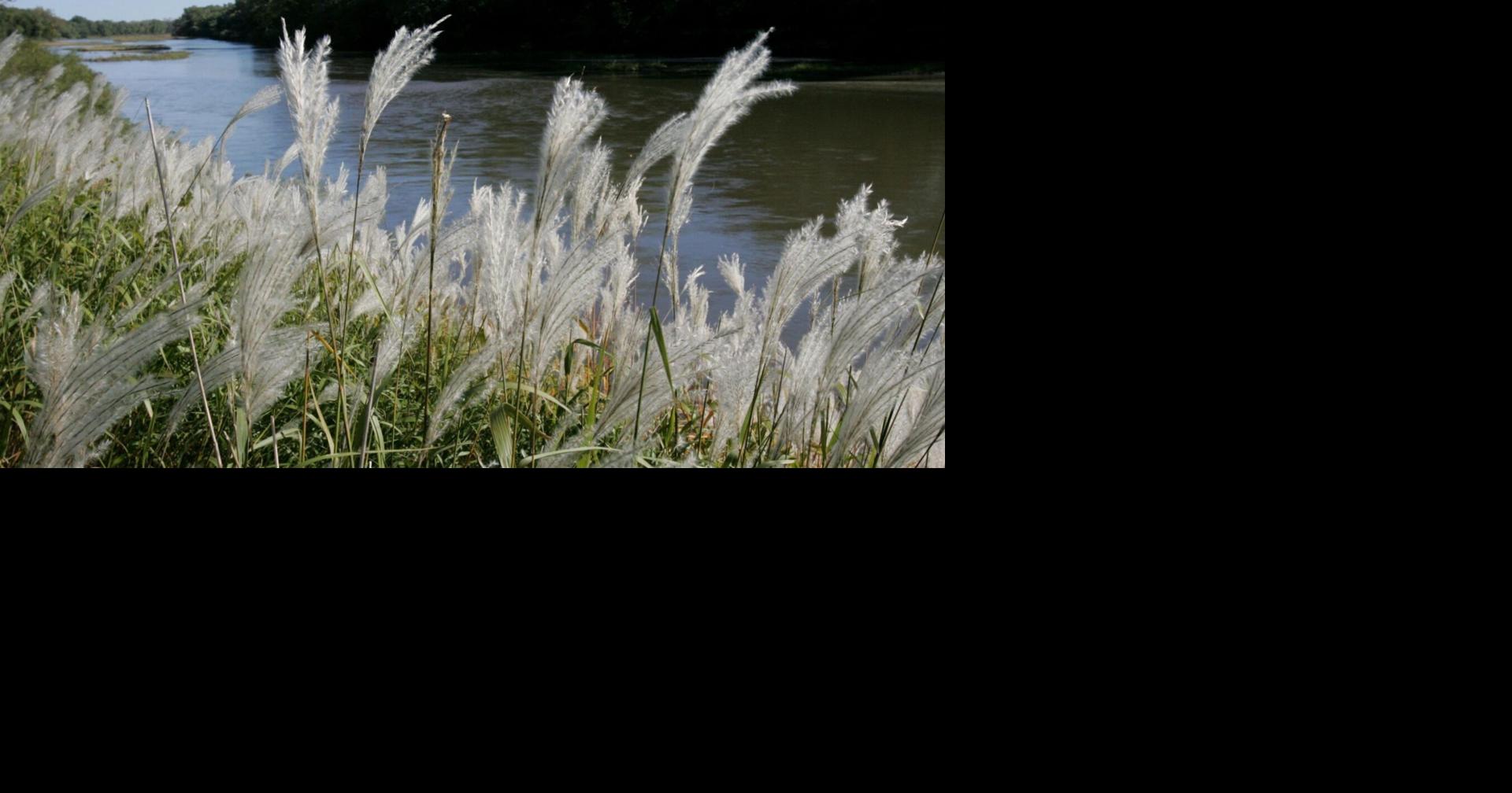 Elkhorn River RV park wins Omaha Planning Board approval despite traffic, safety concerns