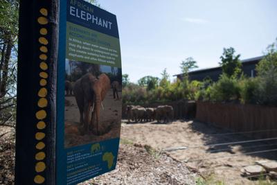 Henry Doorly Zoo Giving Free Memberships To Low Income Families