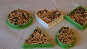 Kids Craft Idea Cookie Cutter Bird Feeders Blogs Omaha Com