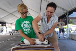 071926-owh-new-countyfair-jc-27