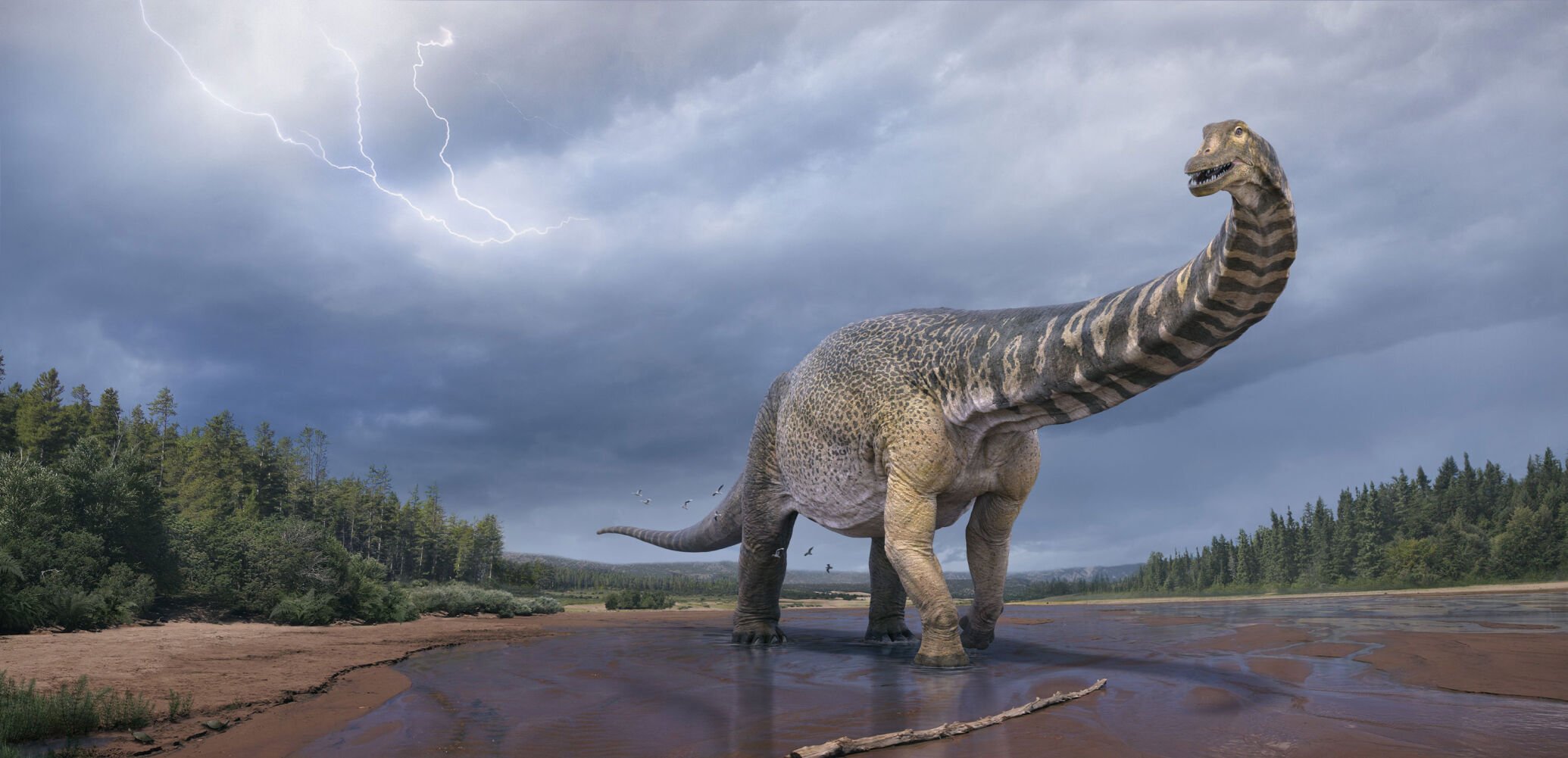 New Dinosaur Species Discovered In Australia, Two Stories Tall And A ...