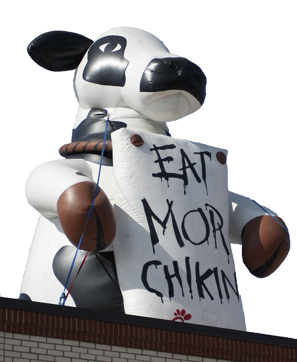 chick fil a cow doll