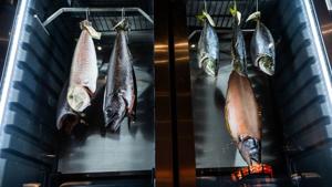 042826-owh-spo-utterback-cm-09