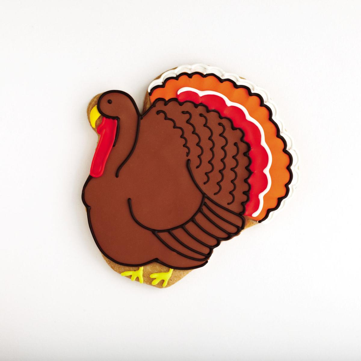 Author dishes on how to make 100 cookie designs with only a handful of