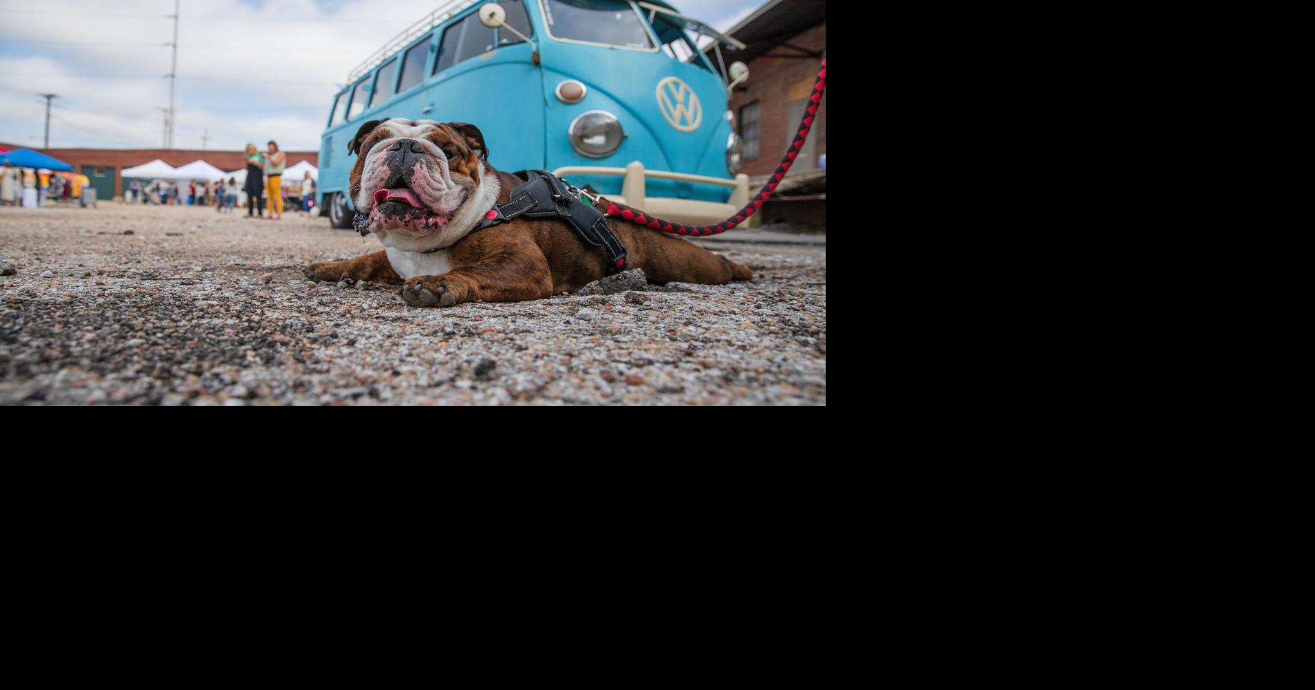 With thousands expected Sunday, HutchFest, in north downtown, keeps