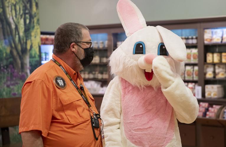 Photos The Easter Bunny comes to Cabelas