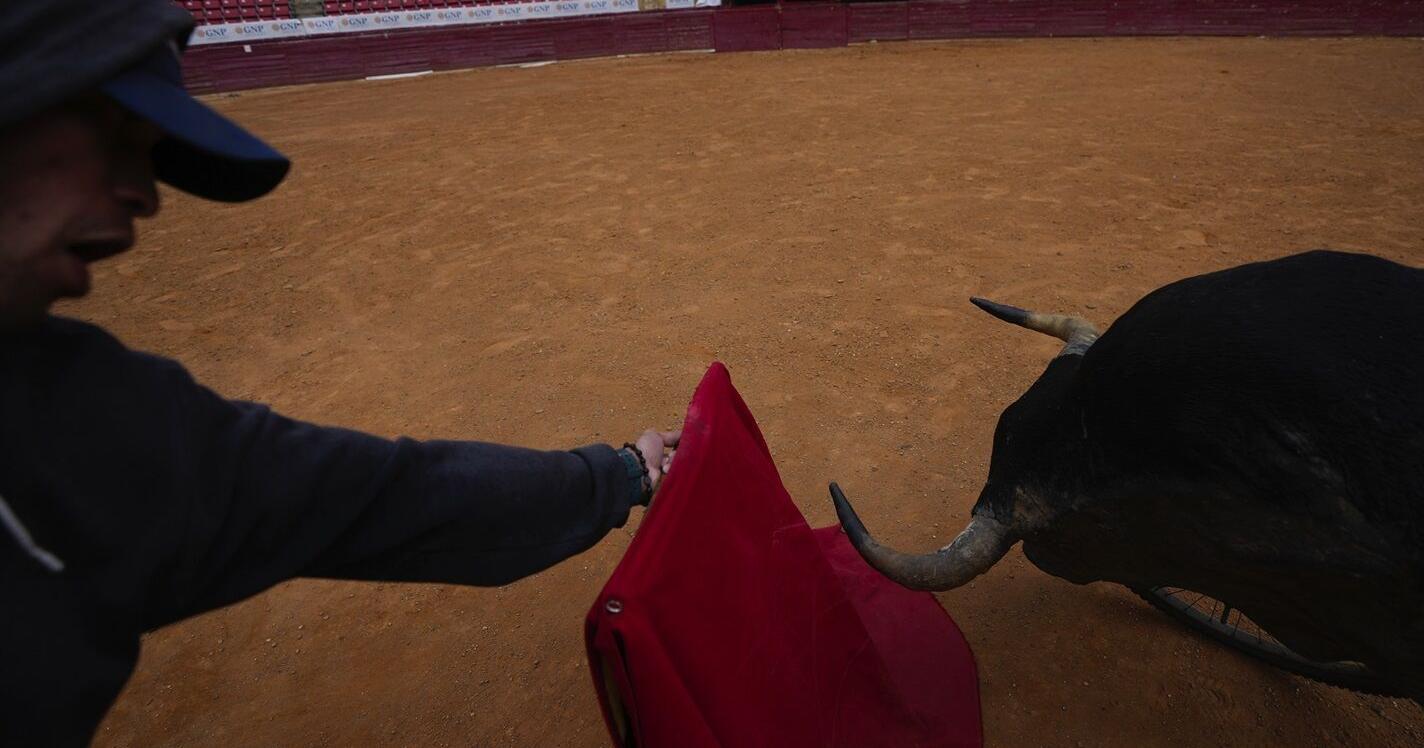 Bullfighting returning to Mexico's capital amid controversy - Vimarsana News