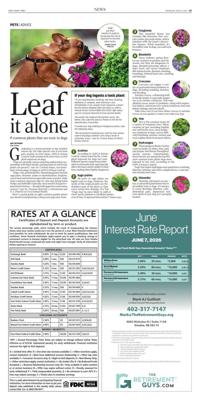 Page A5