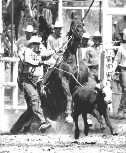 View from the Sidelines: A look at Stampede rodeo records | Sports ...