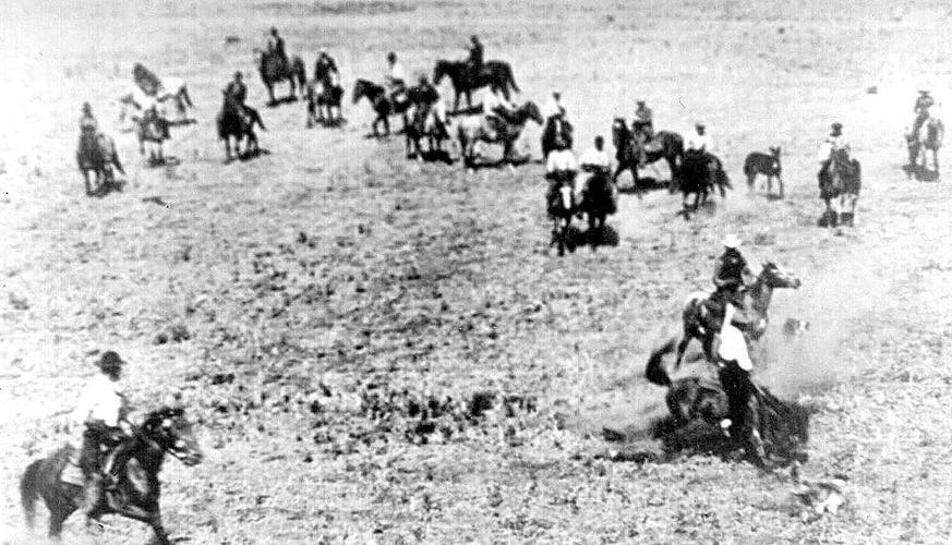 rodeo pictures from the chesaw 4th of july rodeo 1982