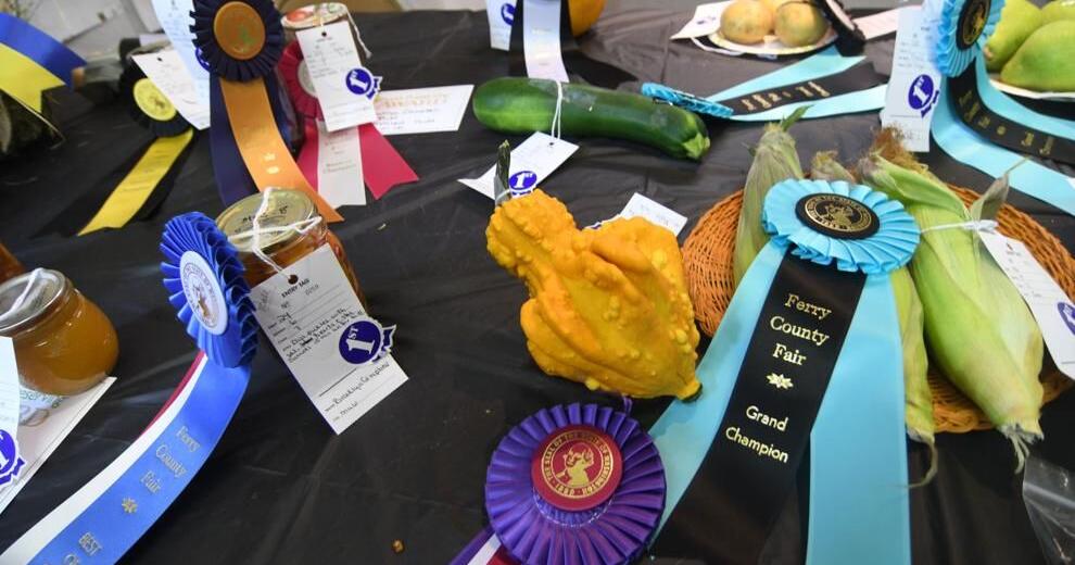 Ferry County Fair offers exhibits, entertainment News