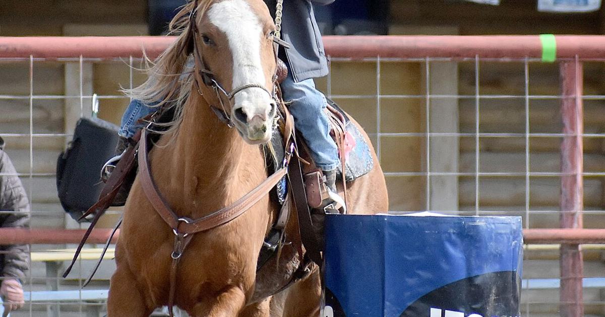 Junior Rodeo gallops its way to Nespelem | Sports | omakchronicle.com