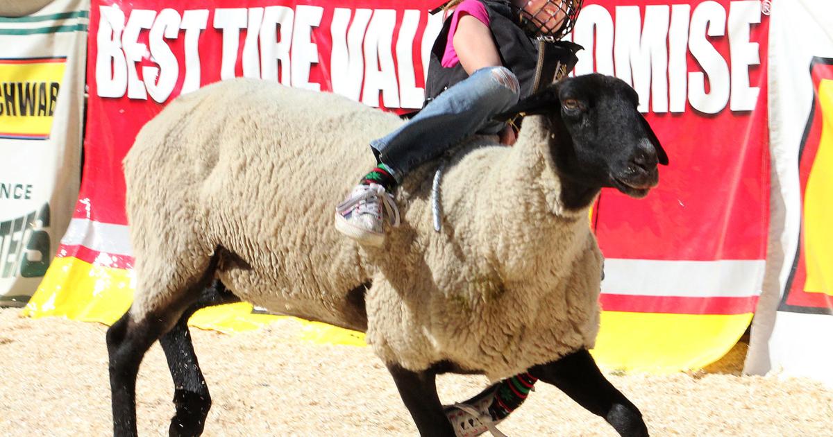 Sunday Mutton Bustin' riders win awards | Lifestyle | omakchronicle.com