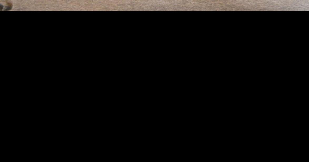 Sasseen is new State Farm owner | Business | omakchronicle.com