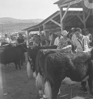 Okanogan County Fair had many locations in early days