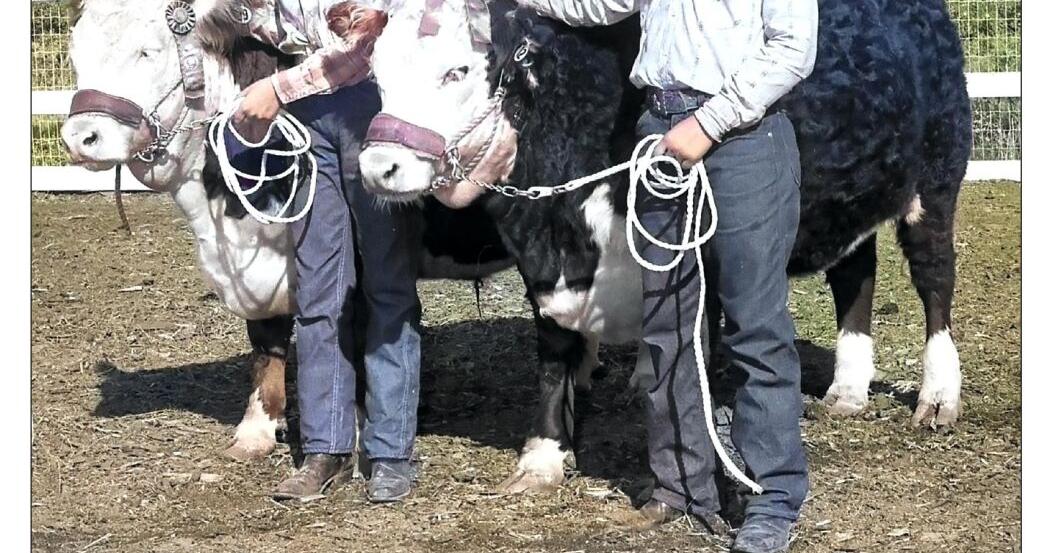 Okanogan County Fair 2023 | Free | omakchronicle.com
