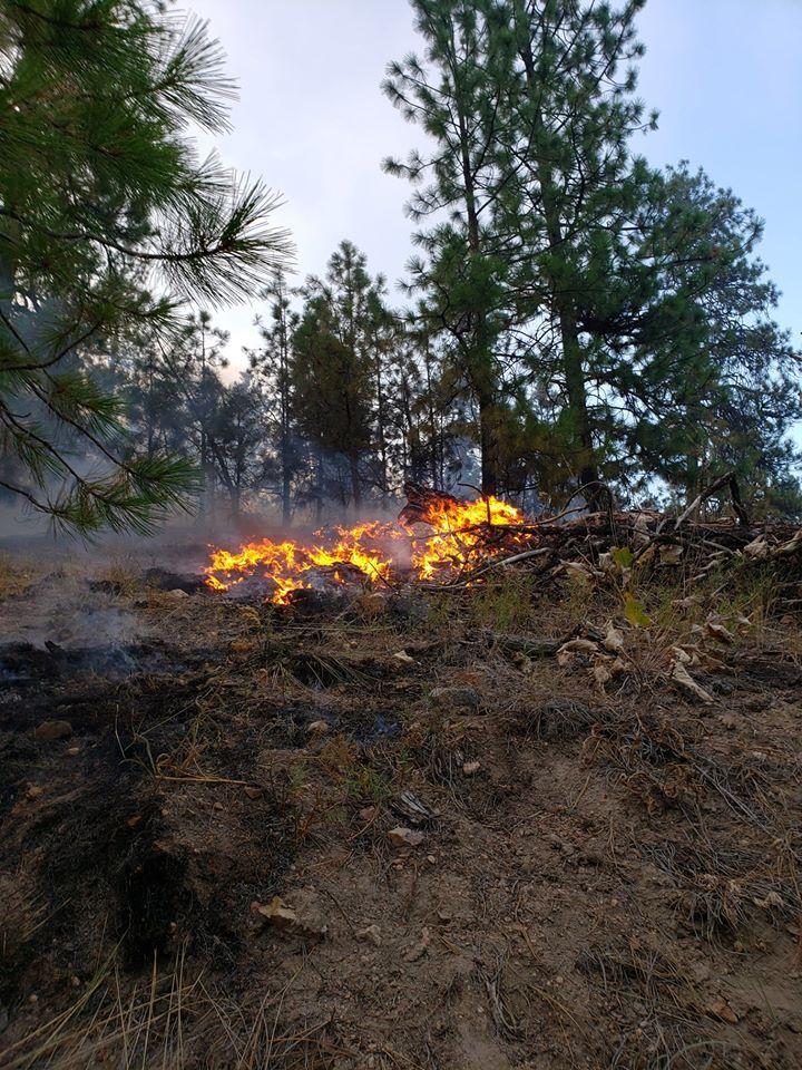 Fire near Nespelem at 4,500 acres Free