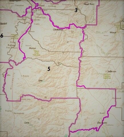 5th Congressional District