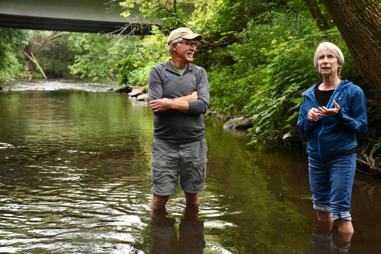 Friends of the Badfish Creek Watershed tackle E.Coli