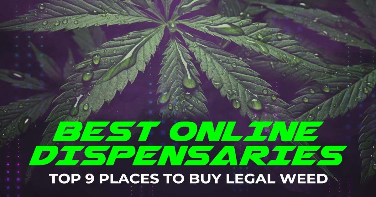 Best Online Dispensaries: Top 9 Places to Buy Legal Weed