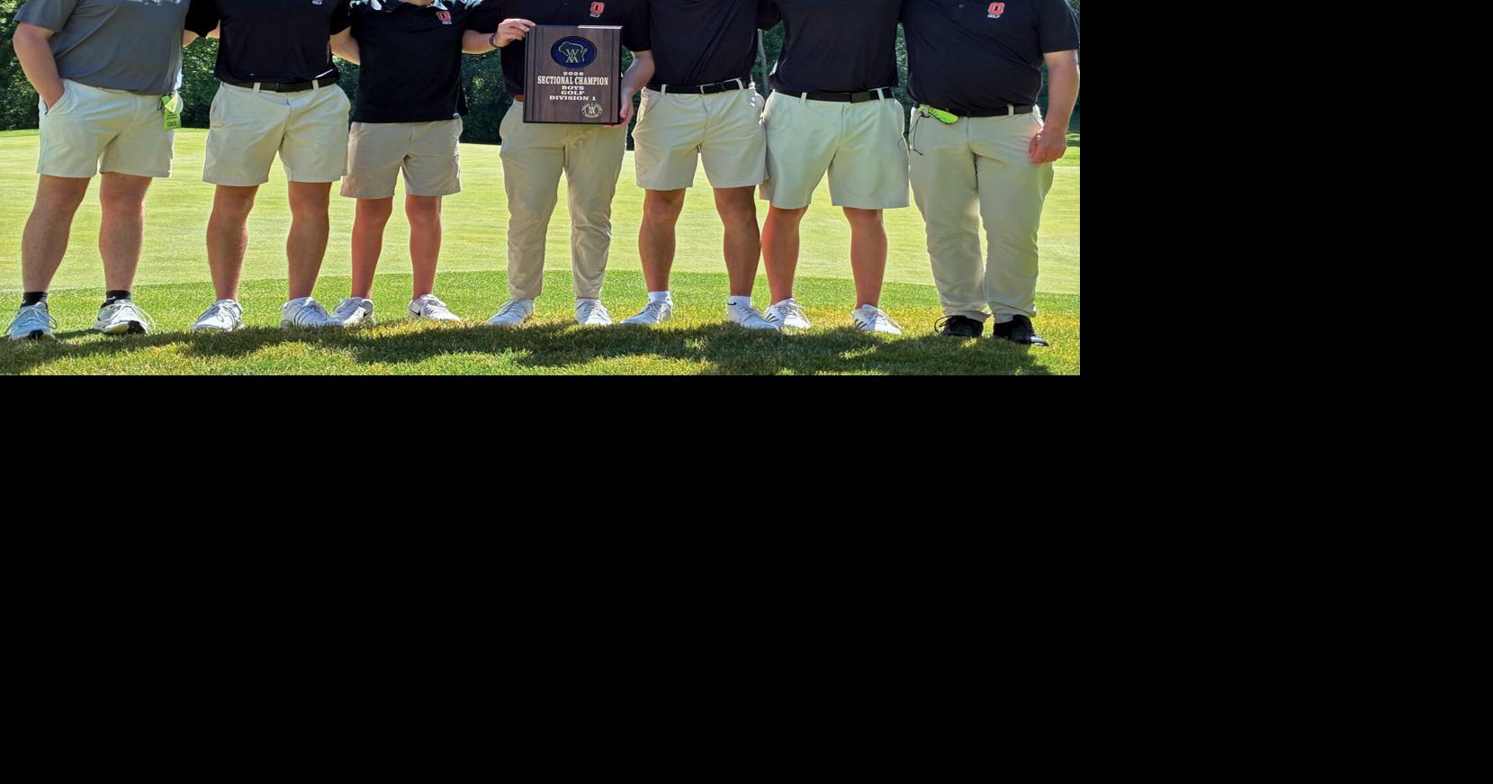 Boys golf: Shortcomings fuels Owen Purdin, Oregon to first-ever state berth