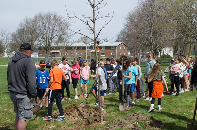 PHOTOS Brooklyn Elementary students take action on Arbor Day News