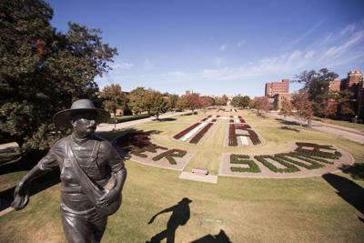 The South Oval mums