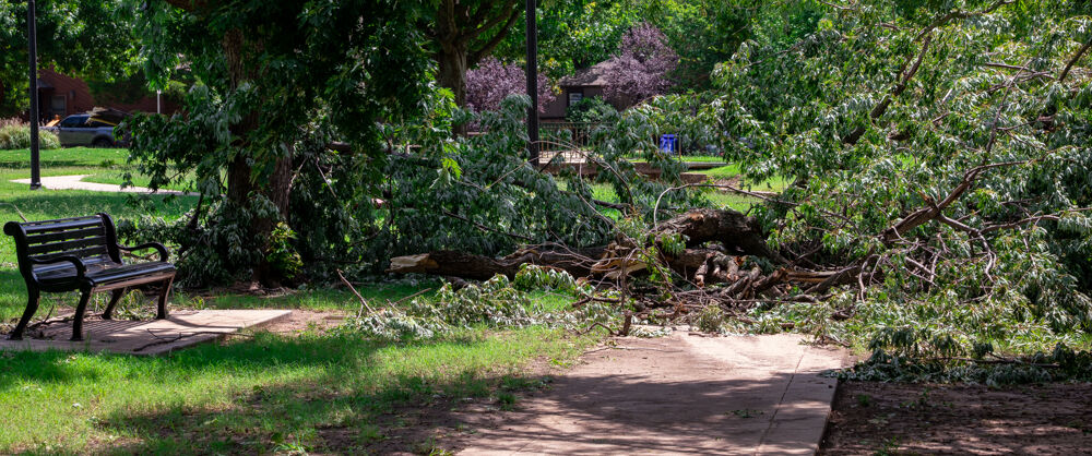 Norman storm damage