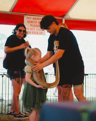 Medieval Fair of Norman