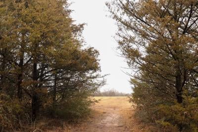 George M. Sutton Wilderness Park