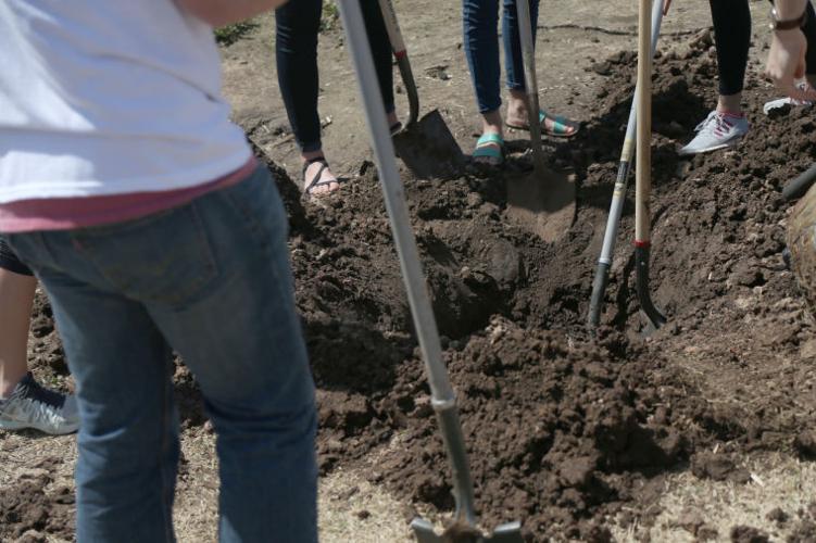Arbor Day