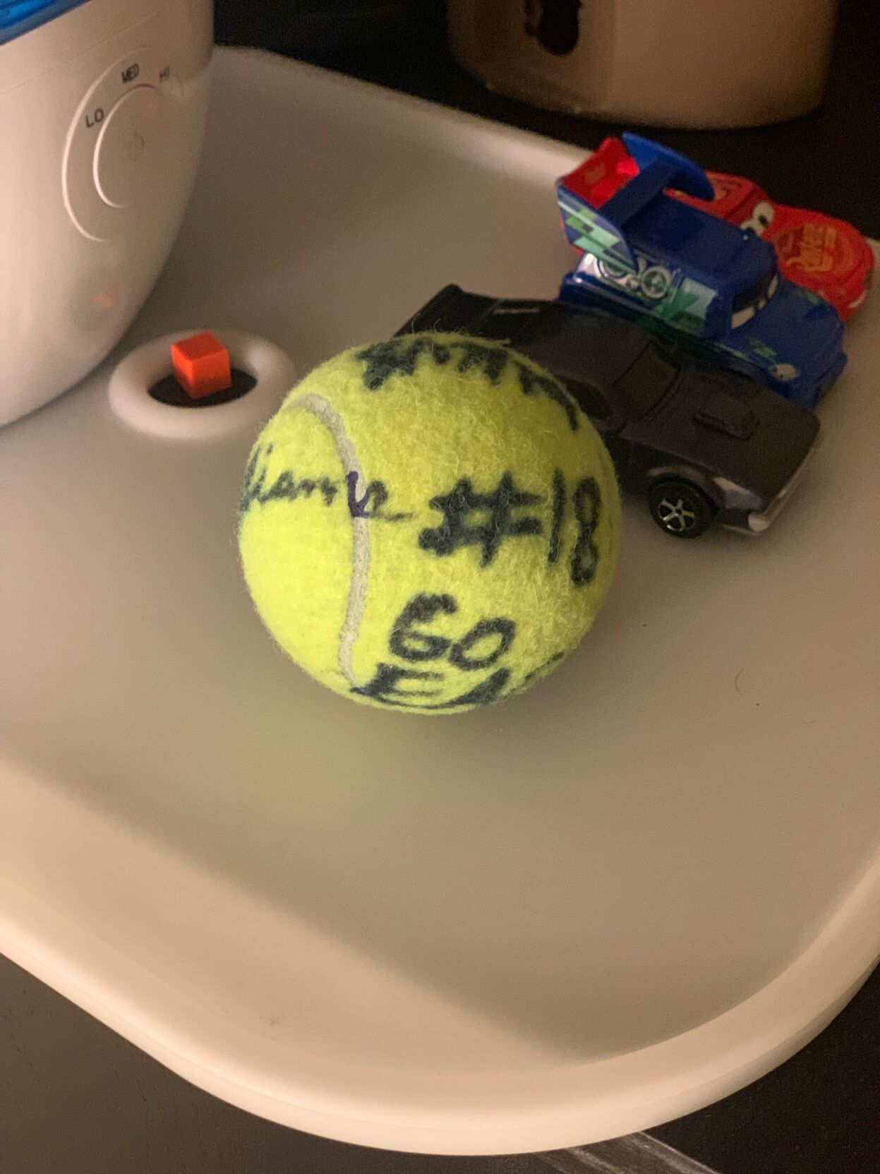 Zayde Schaechter's tennis ball
