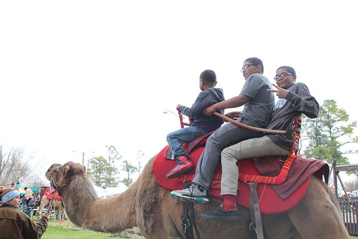 Medieval Fair 2015 | | oudaily.com
