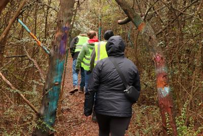 PIT Count Surveyors