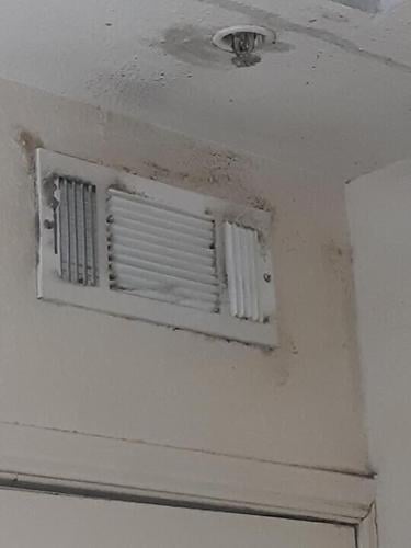water damage 1