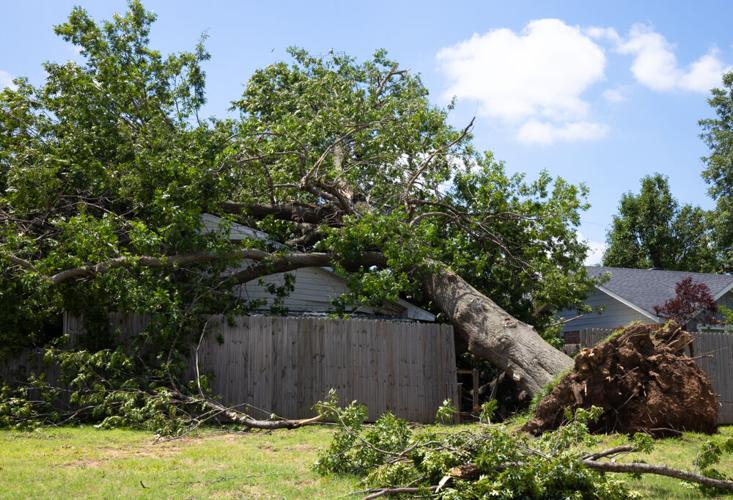 Norman storm damage