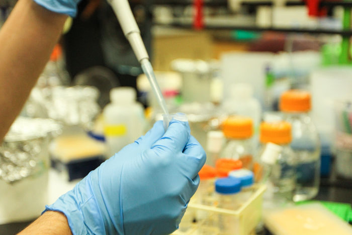 Undergraduate Researcher