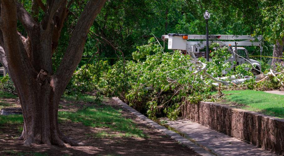 Norman storm damage