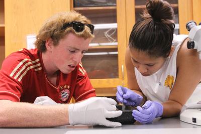 Dissecting Earthworms