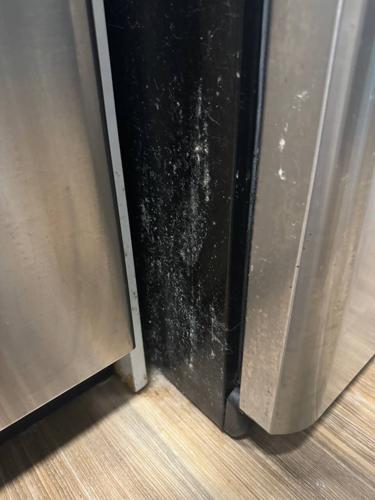 Jacob Maslovskiy fridge