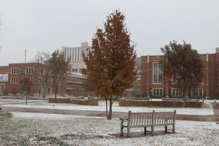 Snow on the South Oval