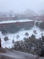 What do you get when you cross 3 Sooners with roughly 1.5 inches of snow?