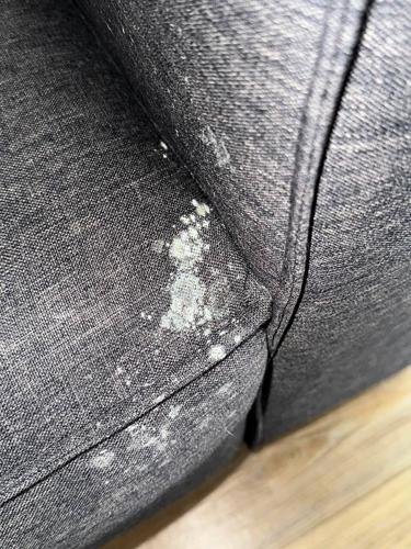 Jacob Maslovskiy couch