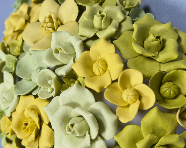 Somos Flores