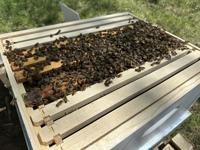 680804ee0e774.image.jpg?resize=200%2C150
